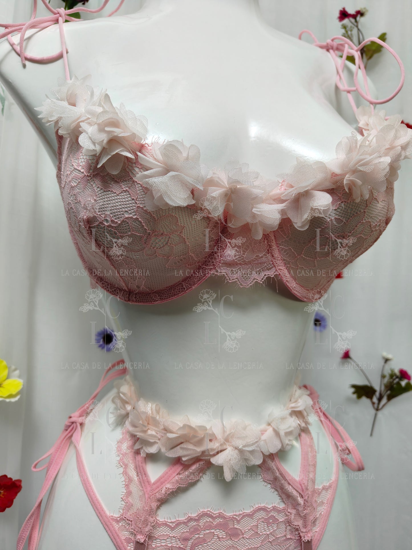 Set Marintia