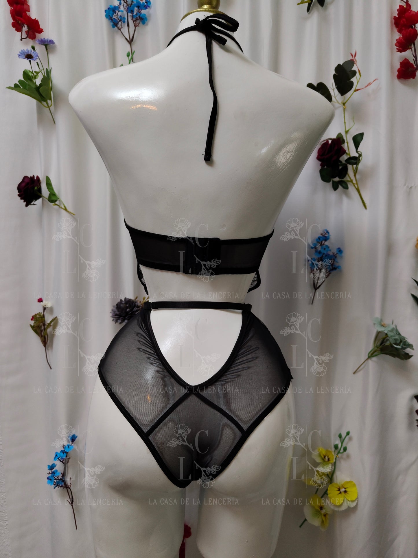 Body Evangeline